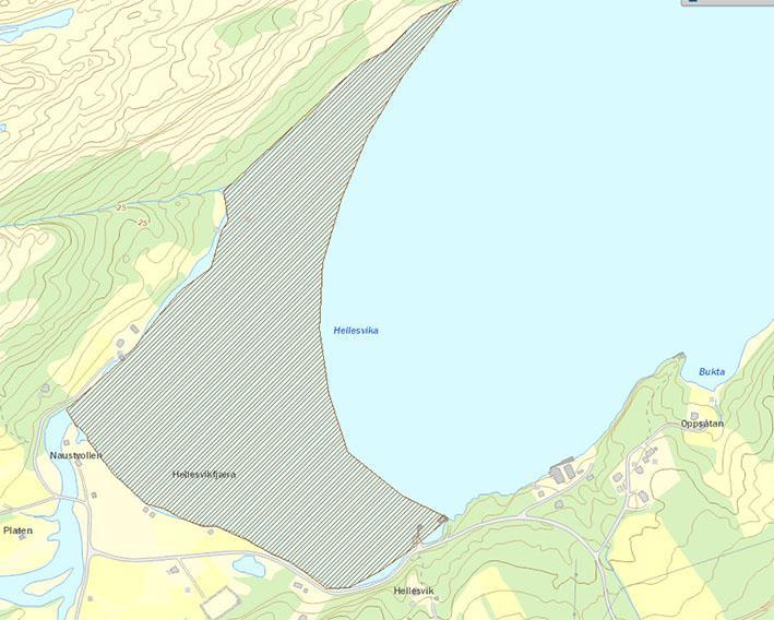 I Hellesvika finnes det blant annet to viktige naturtyper; strandeng og strandsump, området er overvintrings- og trekkområde for ærfugl