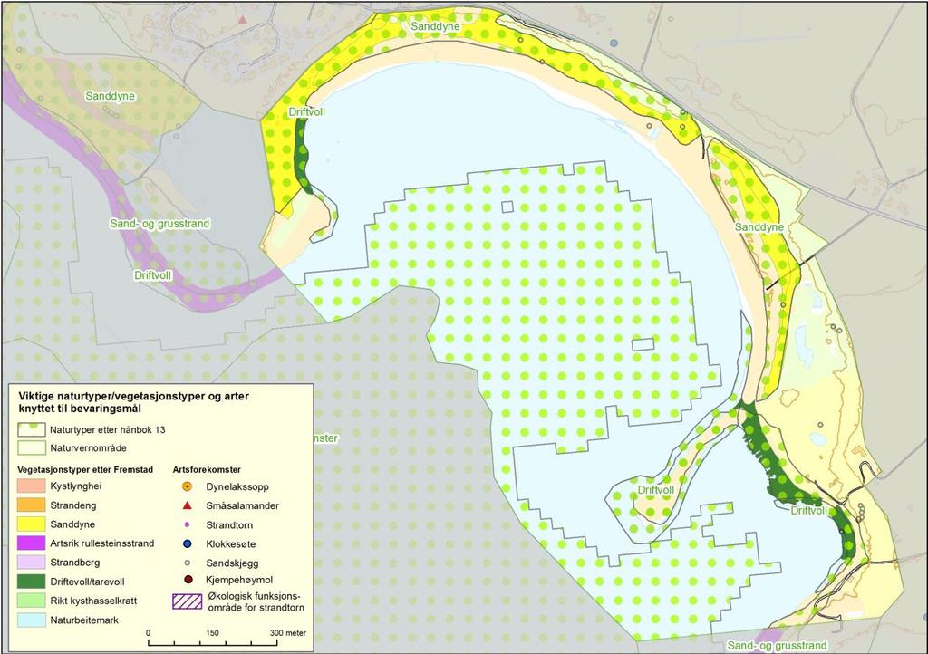 10. Nordhasselvika Figur 10.