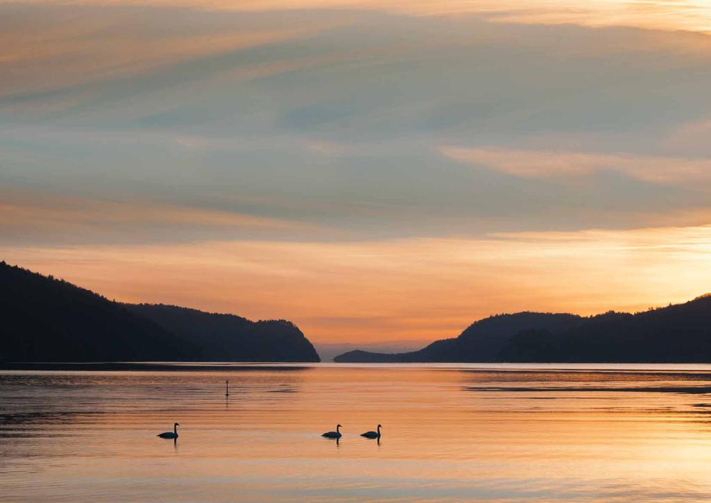 Med fantastiske solforhold og en luftig utsikt med kort avstand til alt idyllen en og hele Lyngdal har å by på. Hyttene er svært funksjonelle med kompakte løsninger i god kvalitet.