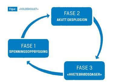 Voldshjulet i illustrasjonen under viser de forskjellige fasene i en voldshendelse. I saker med vold i nære relasjoner viser det seg at denne illustrasjonen er gjentakende.