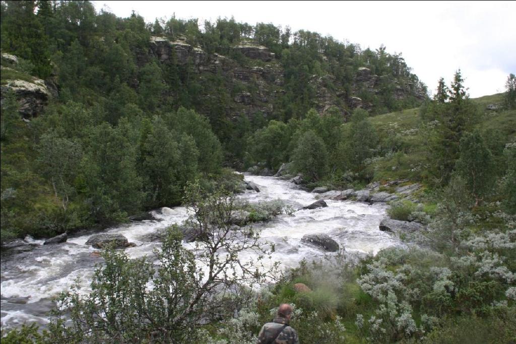 Side 5 Tidligere behandling etter vannressursloven NVE har tidligere behandlet planer for et vannkraftverk i Fossåa.
