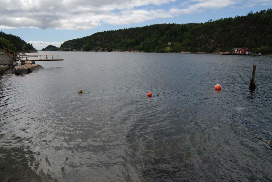 Fig. 5. Ytrebø. Sjøområdet sett mot sørvest. Foto: Dag Nævestad / NSM Manglende eldre funn ved Ytrebø kan skyldes at denne lokaliteten ikke har vært benyttet som lasteplass.