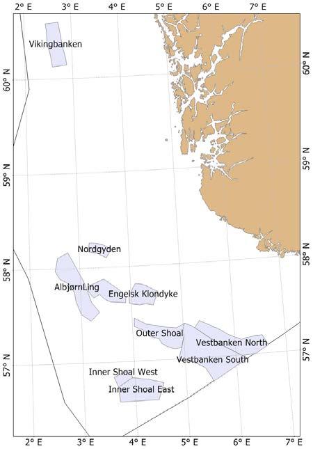 Resultat og diskusjon Bestandskartleggingen og analyser blir gjort per stratum (toktområde) (Figur 4), og siden 2007 er følgende toktområder undersøkt: Vikingbanken Nordgyden Albjørn-Ling Østbank