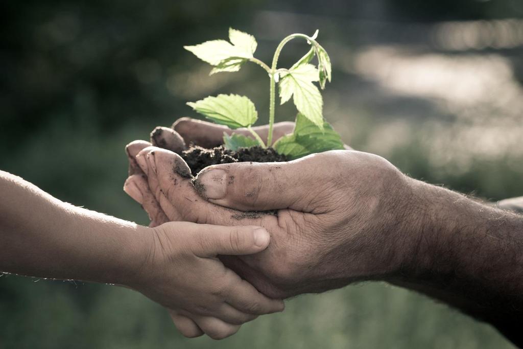 5. Respekt for naturen og miljøbevissthet «Skolen skal bidra til at elevene utvikler naturglede, respekt for naturen og klima- og miljøbevissthet»