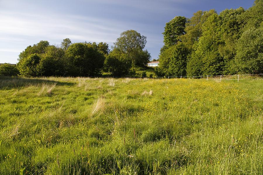 NNI-Rapport 369 Utvidet næringsområde ved Nedre Kleppe, Askøy kommune.