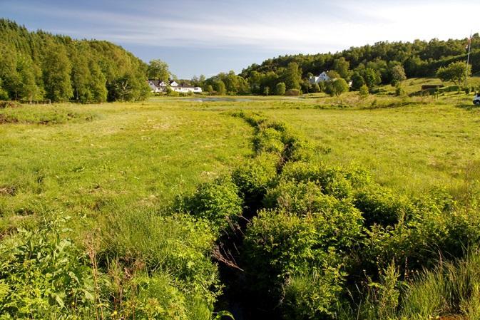 Våtmarken har funksjon for flere fuglearter, så som stokkand og enkeltbekkasin, i tillegg til arter som buskskvett og tornsanger, dvs.