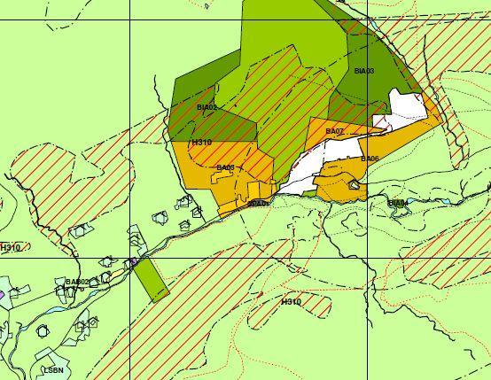 Omsynssone Faresone - snø- og steinskred Ekstra krav om vurdering/tiltak