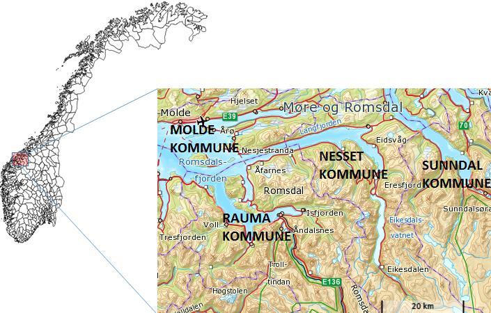folkeavstemningen ble utfallet 49 % ja til sammenslåing med Sunndal, 41 % til «flest mulig Romsdalskommuner». Lignende resultater framkom i innbyggerundersøkelsen.
