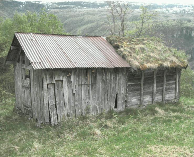 Forfallet på det gamle skotet (eldre bilete over) var kome så langt at det ikkje let seg restaurere, og takåsane måtta skiftast ut. Etter kvart kunne bygningen vorte ein fare for tryggleiken.