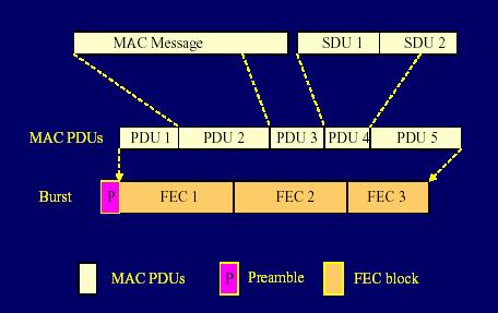 MAC PDU Transmission MAC PDU format inf3190 49 inf3190 50 Media Acces