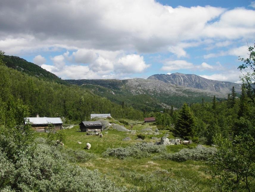 Stølslandskap - Skjøtselsplanar i