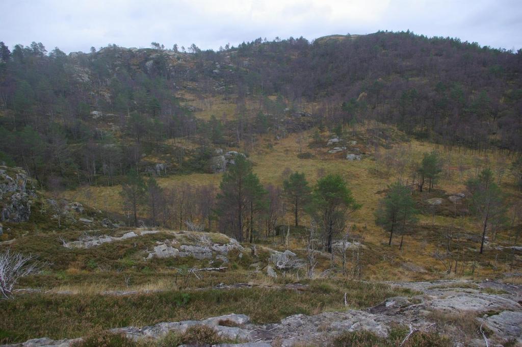 2. Botnen Botnen ligger tett ved og oppstrøms Mønstremyr. Det representerer en betydelig del av nedbørsfeltet mot, og den eneste bekken av noen størrelse inn i Mønstremyra.