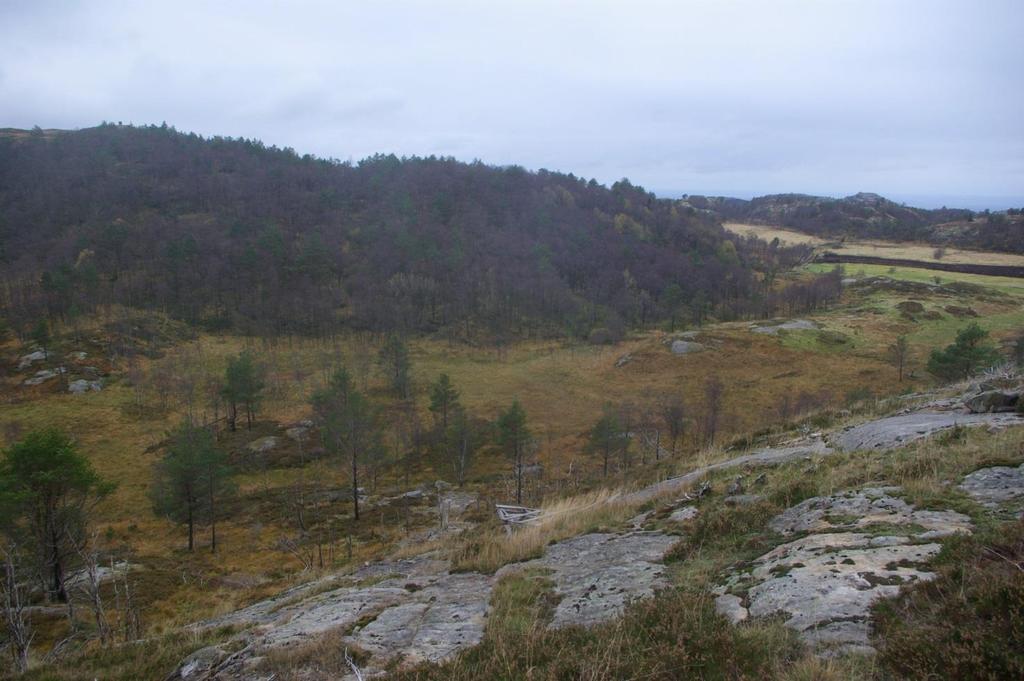 Figur 6. Botnen ytre del. Foto.BV Botnen er endret fra fattige myr/fuktsjuk beitemark og til et vann- og våtmarksomdominert område vekslende med nyetablert fastmark.