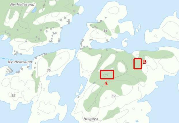 Seljeskogen rundt kjøkkenbrakken, sanitetsbrakken samt fangeleiren truer med å sprenge grunnmurene og skape ytterligere setningsskader.