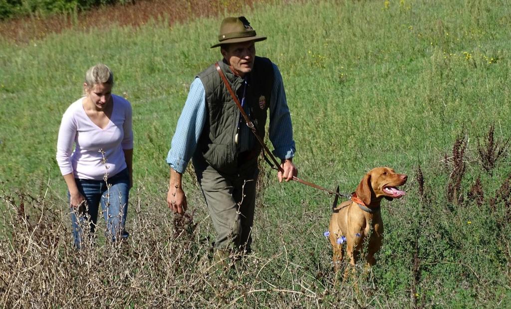 hund. Hun gik i et fremragende tempo med stor jagtlyst, men fandt intet. Hjalmer og Lea var næst, og hun søgte i starten fint, men blev så noget selvstændigt.