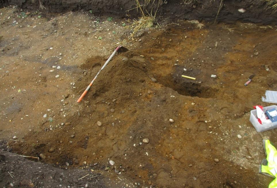 Langhusene har hovedsakelig inngått i forskjellige gårdstun, der også andre bygninger kan være del av en samtidige gårder. På grunn av tidsbegrensingene ble det ikke brukt mye tid på hustolkinger.