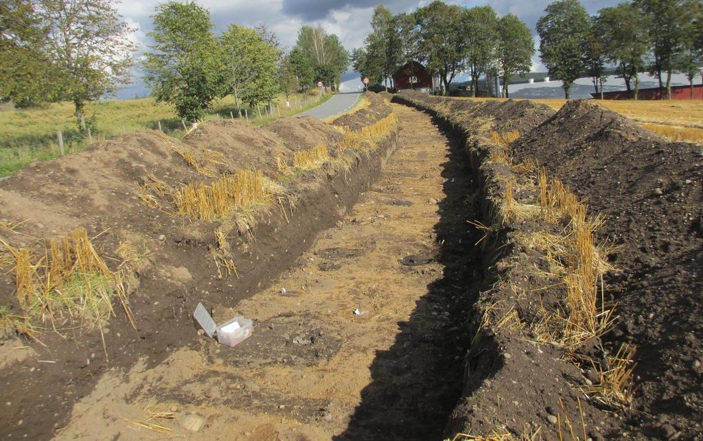 SAMMENDRAG Under registreringen langs Stasjonsveien, i tidsrommet 28.8. 26.10.