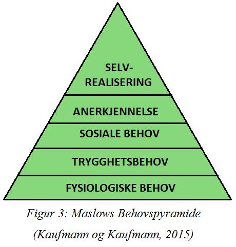 enn kvantitet (Dysvik og Kuvaas, 2012, s. 57). Dette innebærer at ved situasjoner hvor det viktigste er å få en jobb gjort med et høyt resultat, vil ytre motivasjon være godt egnet.