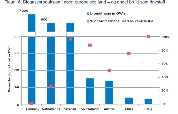 Internasjonalt skjer det mer rom for læring!