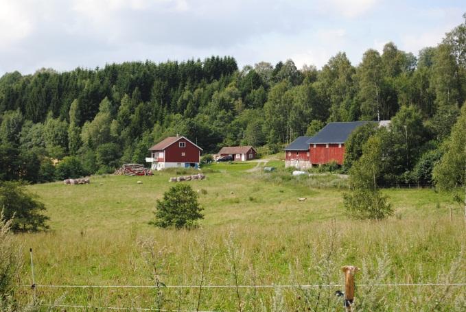 Sanne og Solli bruk ved Ågårdselva. Solli bruk er omtalt i skriftlige kilder allerede i 1606, og Sanne og Solli bruk var i en periode Nordens største sagbruk.