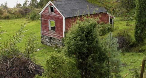 3 RESULTAT 3.3 Tilstand De gjenværende bygningene er her vurdert etter tilstanden i år 2003. Det er ikke foretatt noen sammenlikning med tilstanden da de ble registrert. 3.3.1 Tilstand samlet oversikt Tilstand Flora (% av gjenstående) Sterkt truet 7 % 44 hus er sterkt truet på grunn av teknisk tilstand.