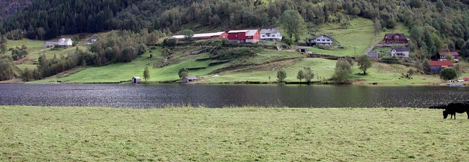 Driftsbygningen er ikke lenger i bruk, og forfallet begynner å merkes.