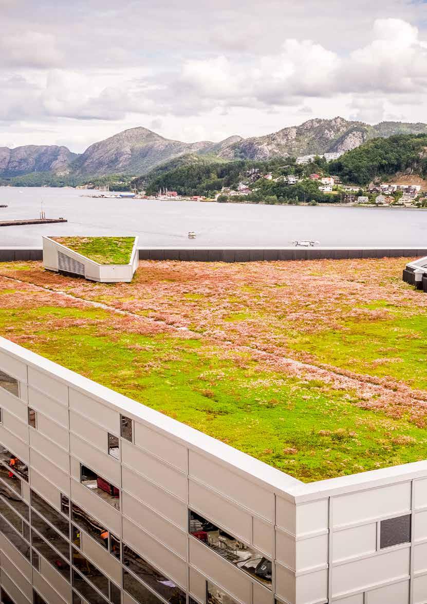 Hvem er vi? Bergknapp AS er den ledende leverandøren av grønne tak på det norske markedet.