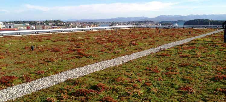 avslutningslist På steder hvor det ikke er en gesims som avslutning brukes en avslutningslist for å holde det grønne taket på plass.