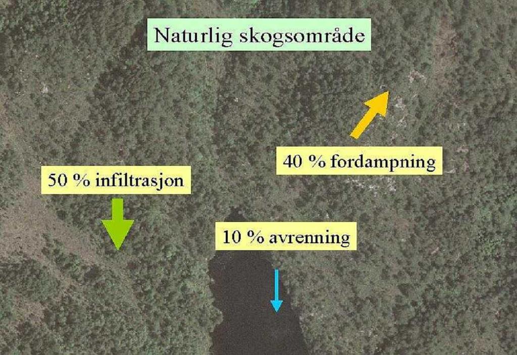 Nedbør Avrenning Økt avrenning