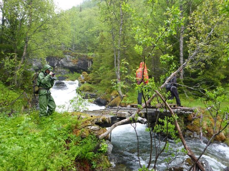 Side 13 Høring Både Fylkesmannen i Troms og Troms fylkeskommune har fremmet innsigelse til de tre kraftverkene.