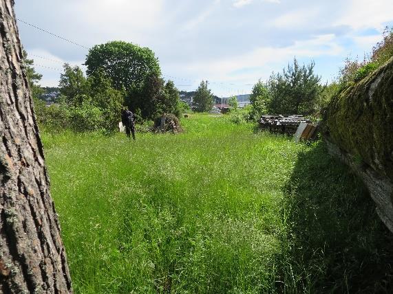 Basert på biotoptilstand og verdi for arter vurderes området som viktig (B-verdi). Bilder fra lokaliteten: De to til venstre viser nordre del, bildet til høyre søndre del.