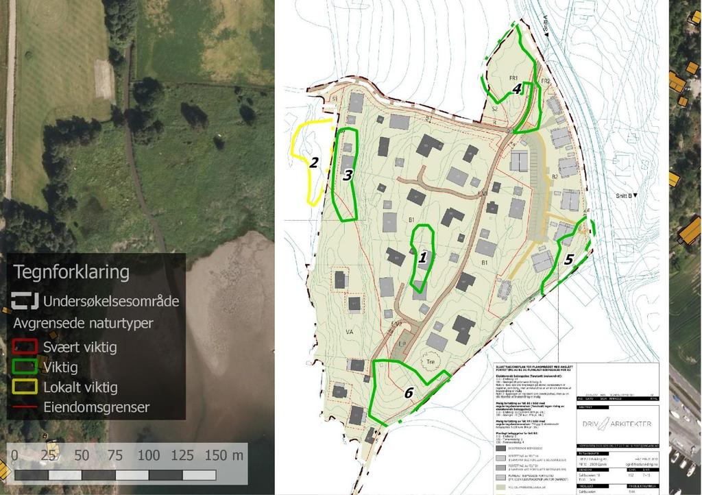 Tiltak og mulige konsekvenser I figur 4 er avgrensede naturtyper og planlagt bebyggelse presentert på samme kart slik at konfliktarealer tydelig kommer frem.