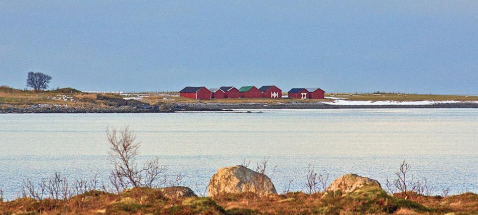 spesialrådgiver Hans Chr.