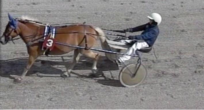 Resultatliste løp på Kala Travpark den 22. august 2010 Ponniløp Skjønnsmessig handicap 1 Nr 3 Vivan 9 Hannah Louise K. Schreiner Hannah Louise K. Schreiner 1140 2.