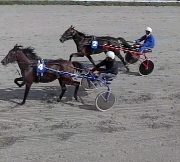 Løp 2 Råde og Onsøys 2-årsløp Varmblods. 2-årsløp 1 Nr 4 Eck Episode 2 Øyvind Hultmann & Nils Olav Holm Øyvind Hultmann 1900 1.