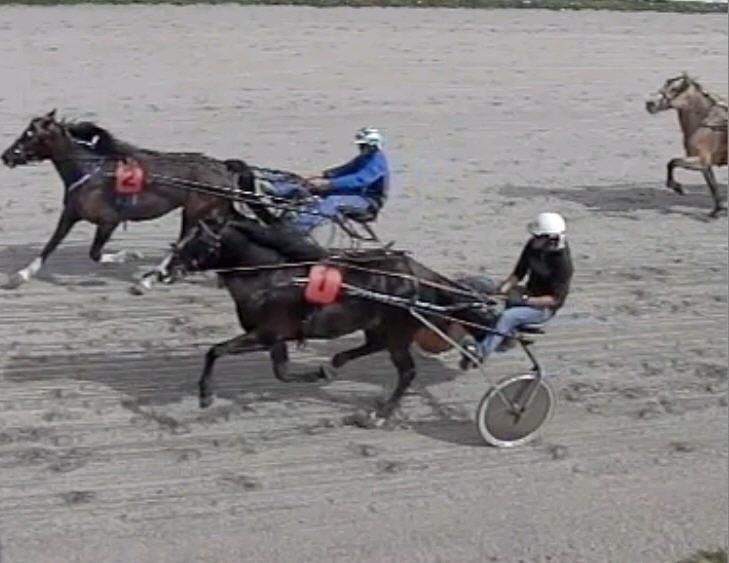 Løp 3 DNTs 3-årspokal Kaldblods. 3-Årige norskfødte. 20 m ved vunnet 3 års pokal, 20 m ved kr. 5.000,- 40 m ved kr. 20.000,- 60 m ved kr. 40.000 Nr Startnr. Navn Alder Eier Rytter Dist. Km. tid Anv.