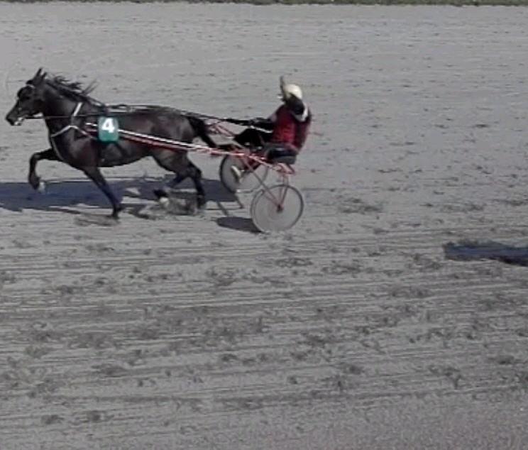 Løp 4 Kaldblods. 3-årige og eldre upremierte 1 Nr 4 Løvland Huldra 5 Rosa Eriksen-Patrick Eriksen, Erik B. Eriksen 1900 1.