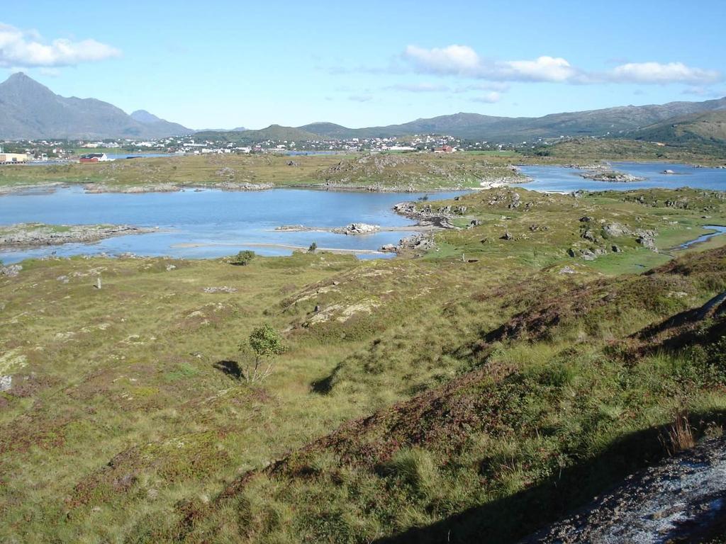 og Holsøya, Vestvågøy kommune, Nordland Annette