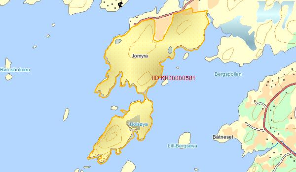 VEDLEGG 4 - Naturbaseregistrering Holsmoa og Holsøya, kulturlandskap KF00000581, Holsmoa og Holsøya Kommune Vestvågøy Områdebeskrivelse Blanding av lyng- og gressvegetasjon.