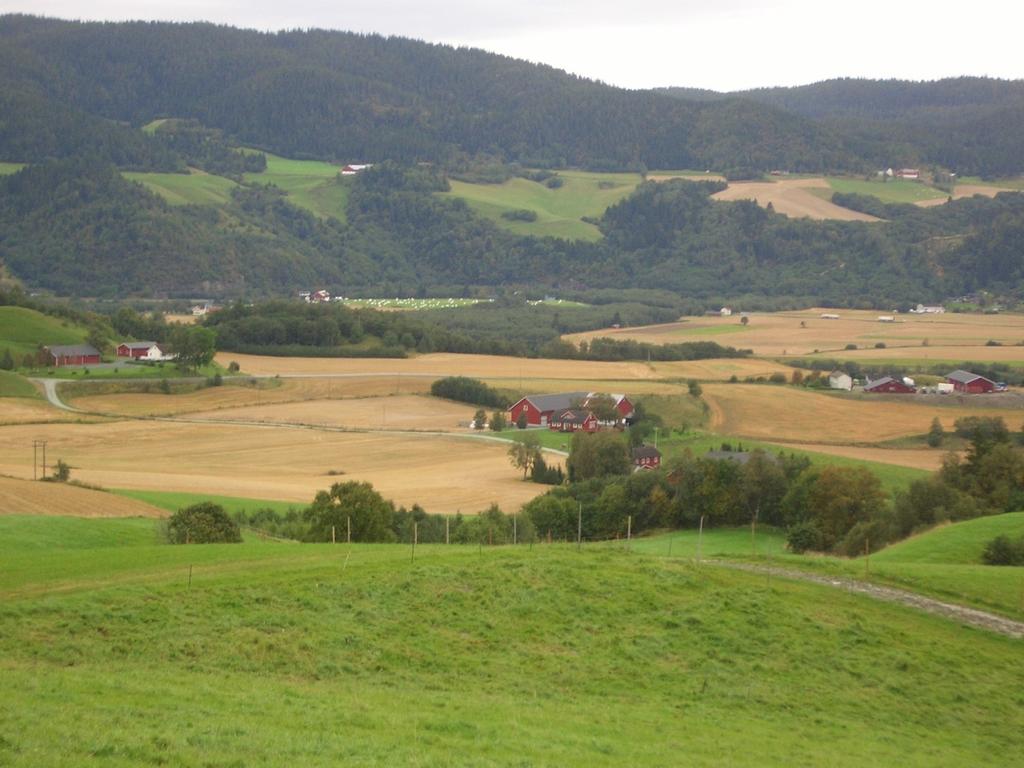 Ikke prissatte konsekvenser Landskapsbilde Nærmiljø og