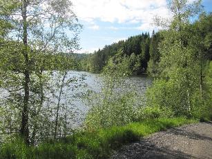 Området er i stor grad skogbevokst, men med åpnere partier ved myrer og langs vann.