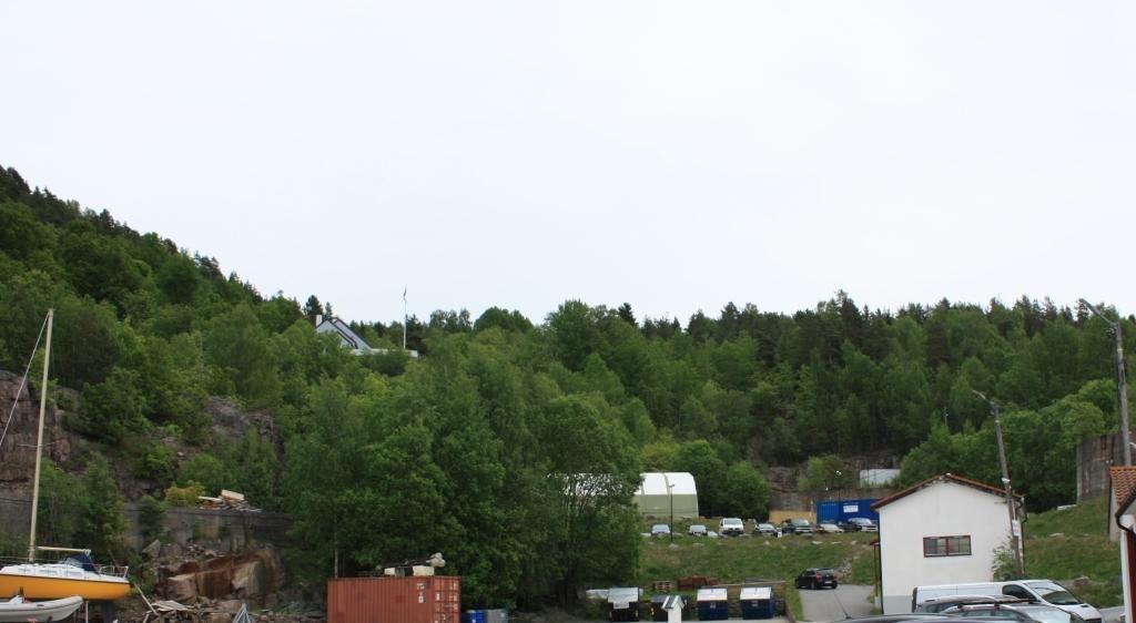 gnr 28/bnr 319 gnr 28/bnr 320 Svestad Nord AS Egil Ranvig 3.3 Topografi og vegetasjon Området er vestvendt og ligger i et bratt skrånende terreng ned mot Oslofjorden.