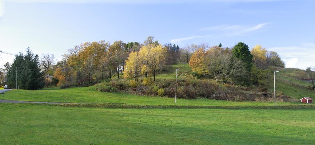 Kulturlandskapet mangler en helhetlig biologisk kartlegging. Fig. 7. Lilandshaugen med Liland eikeskog. 27. oktober 2013. Foto: A. Håland.