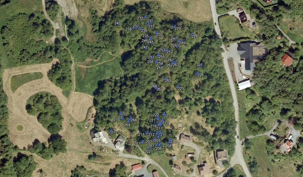 Kartlagte eikeskoger i 2013 Fig. 10. Ådland eikeskog med plott av 65 eiketrær med dbh på over 30 cm, deriblant 3 store eiker som er kartlagt og rapportert som utvalgt naturtype Hule eiker. 6.2.7 Moser Moser på 6 store eiketrær i dette området er også rapportert i Håland mfl.