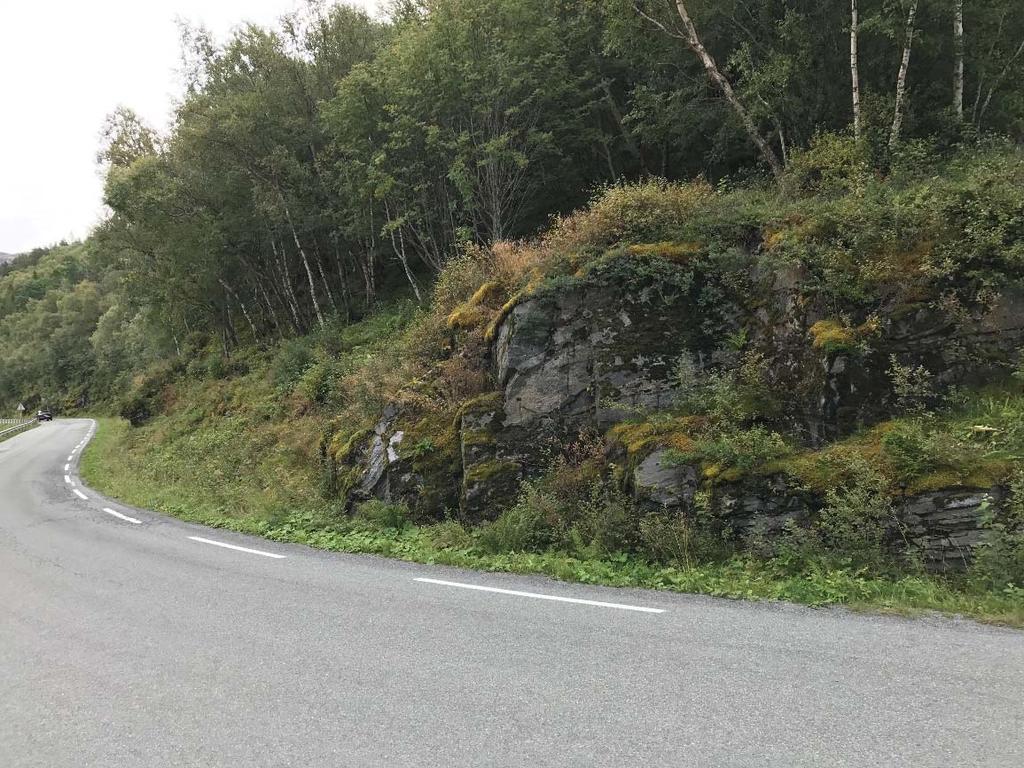 Tiltak 1: Bjørnbåsen (se vedlegg C001) Foto av området sett mot øst. Enkel sprenging, pigging av overheng på innsiden av vegen og ny grøft.