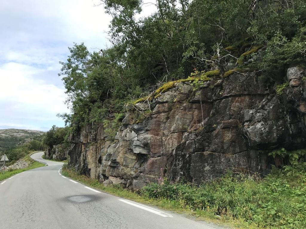 Tiltak 2: Staggalia (ikke vist på oversiktskart eller vedlegg) Foto av området sett mot nord.