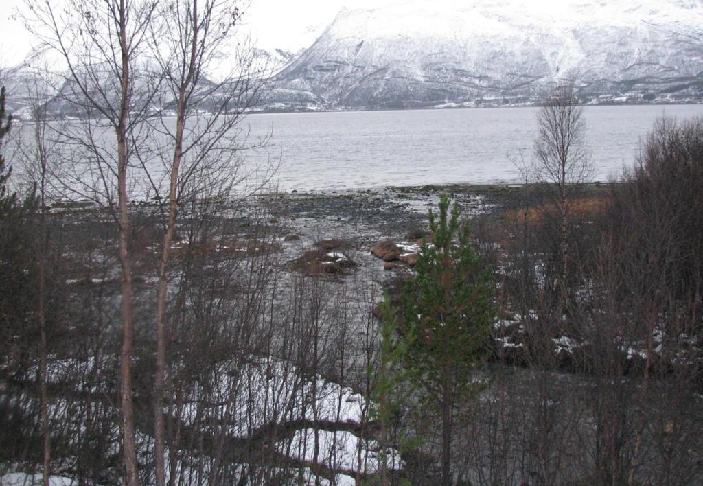 Grunnvannsundersøkelser i områdene Sjursnes,