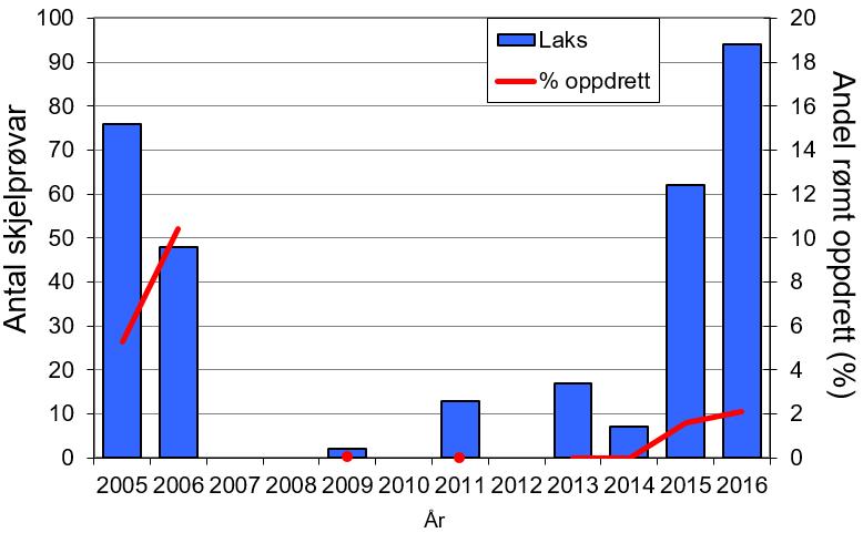 SKJELLANALYSER AV VOKSEN FISK Det er mottatt skjellprøver fra sportsfisket i Ulla åtte av de tolv siste årene (figur 15).