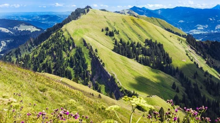 Oberstaufen (54.6 km) Landsbyen Oberstaufen ligger omgitt av duftende grønne enger, bølgende bakker og imponerende fjell - et sant eventyrland nær Bodensee i Sydtyskland.