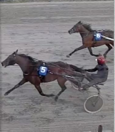 Løp 2 Giant Chill's løp DNTs pokalløp. Varmblods. 3-årige norskfødte. Min. 3 starterklærte hester for å kunne dele ut DNTs pokal 1 Nr 5 Super Bob 3 Karoline Lund Solberg Jens Kristian Brenne 1900 1.